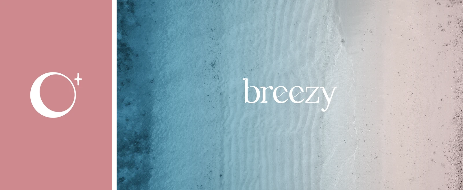 breezy logo and icon